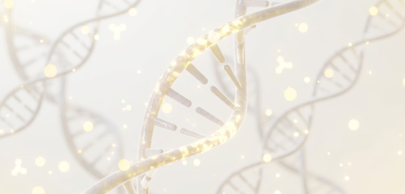 Stem Cell IV Therapy in Dubai & Abu Dhabi